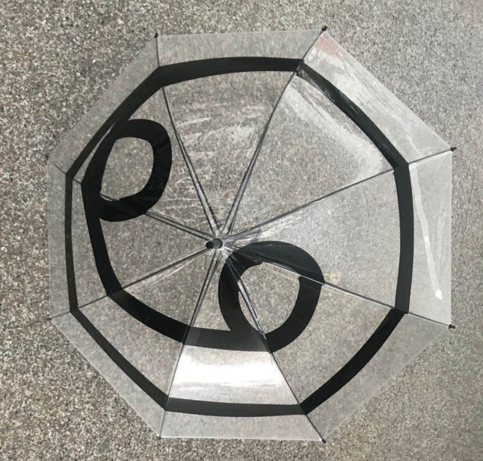 transparent umbrella.jpg